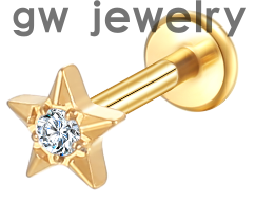 Customized ear studs (图31)